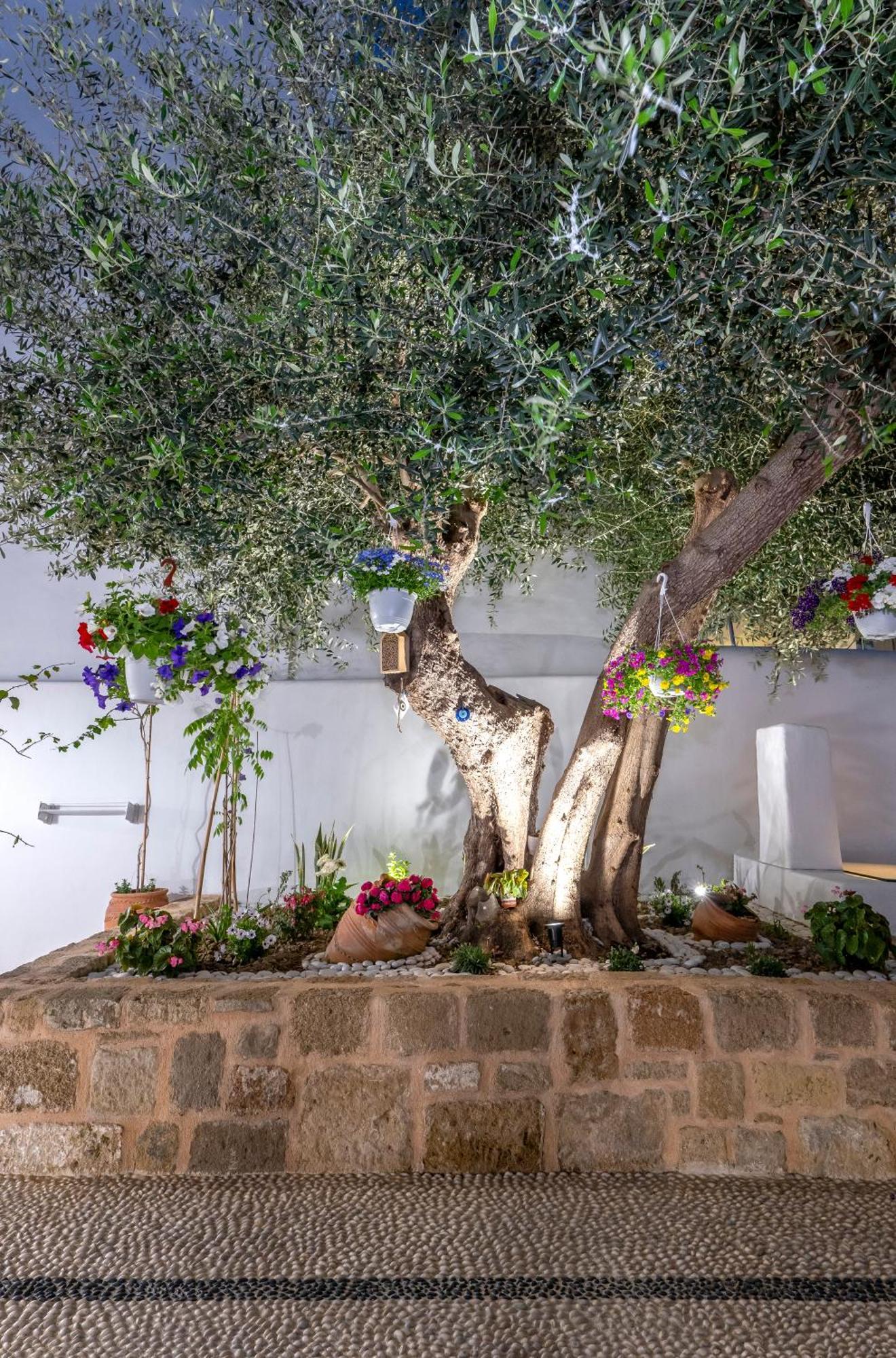 Villa Del Capo Suites Rhodes City Exterior photo